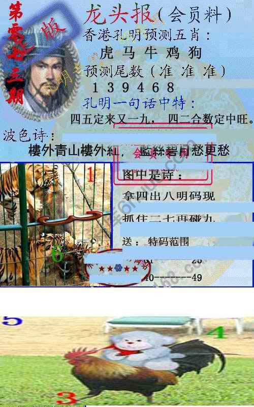 龙头报