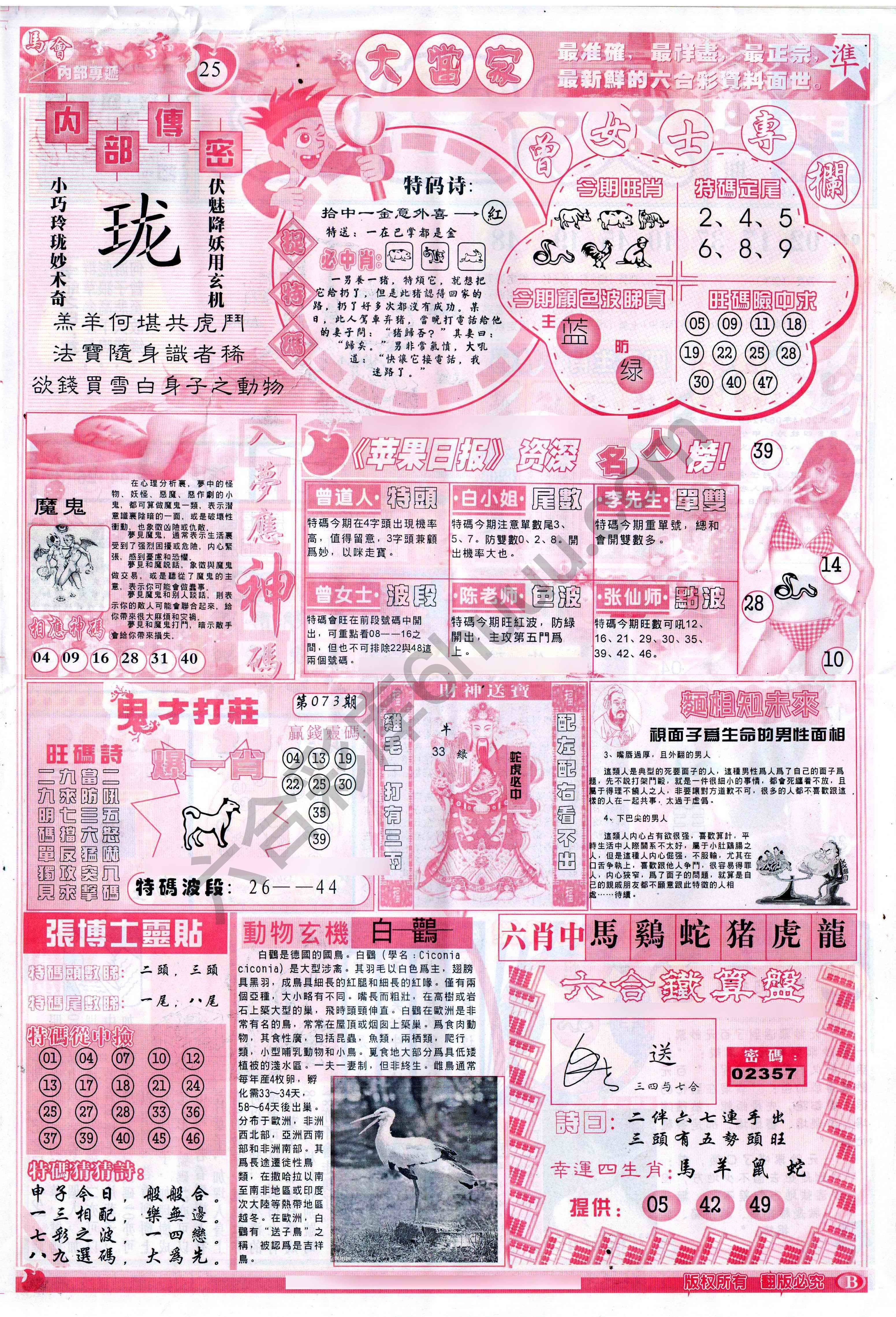 大当家