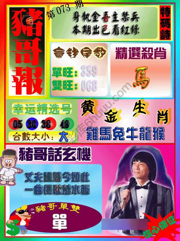 猪哥报