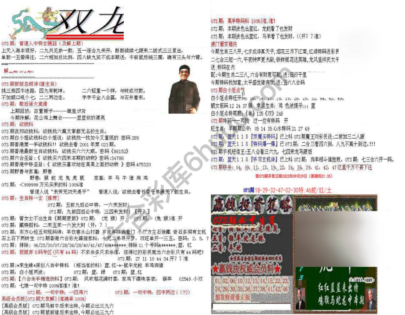 双龙报
