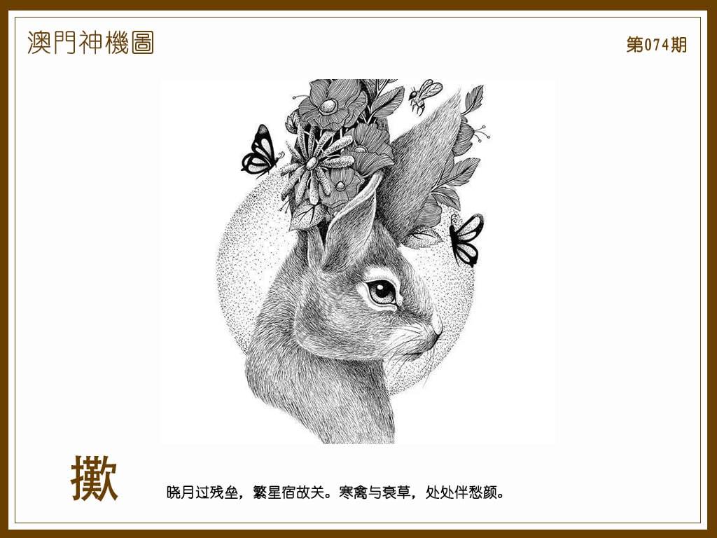澳门神机图