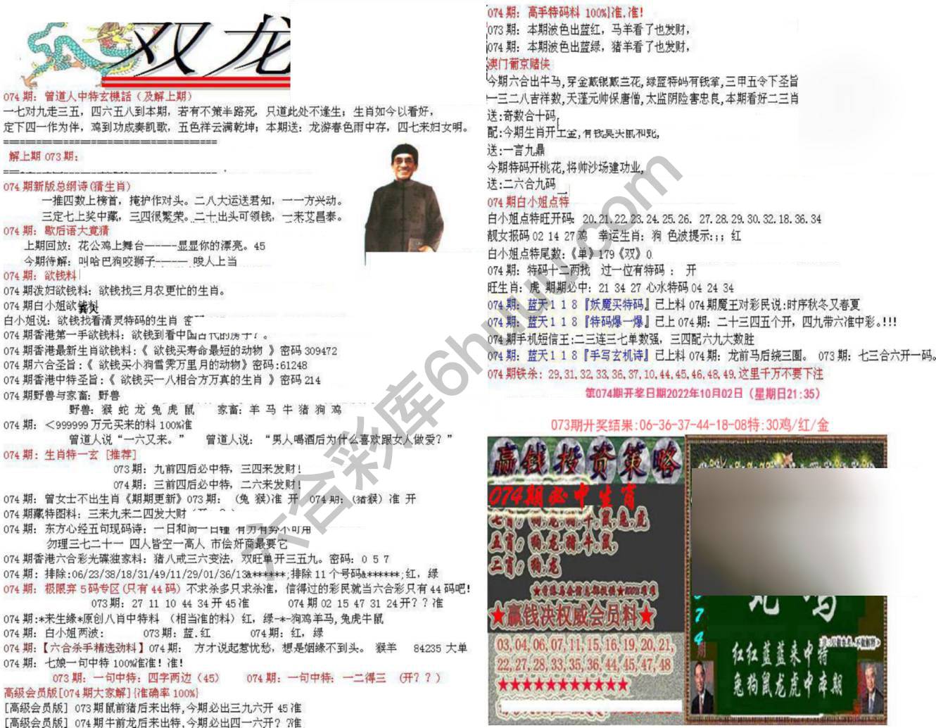 双龙报