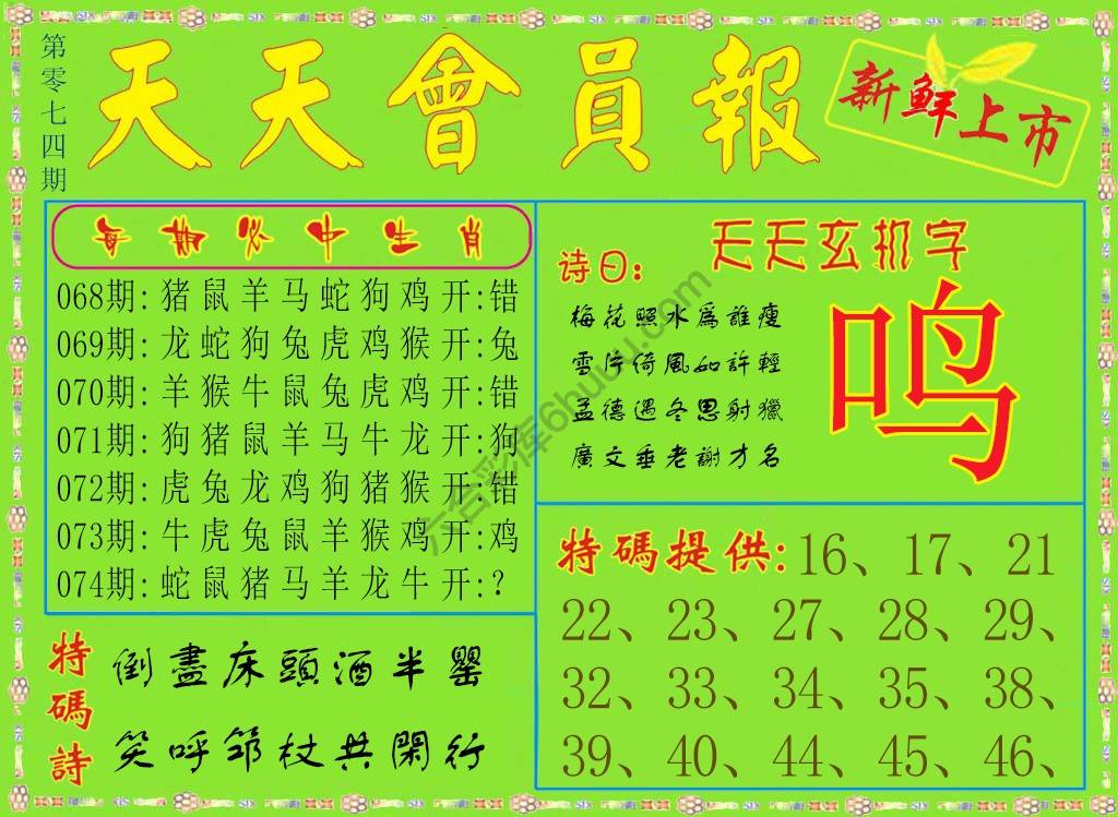 天天会员报