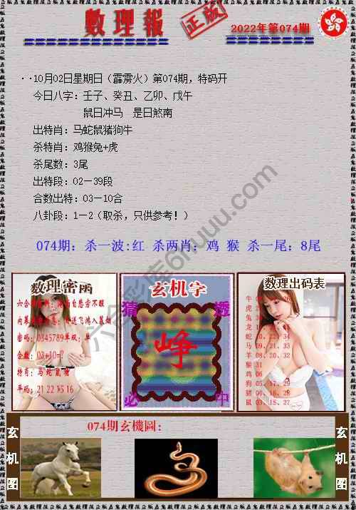 数理报