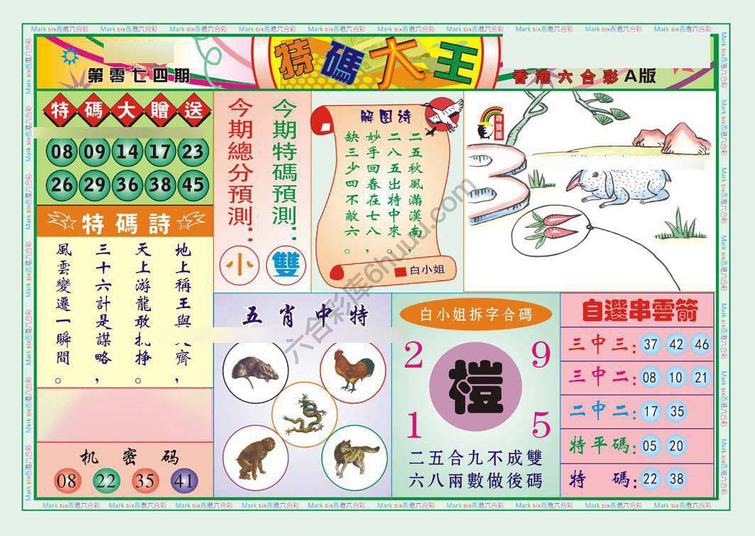 特码大王