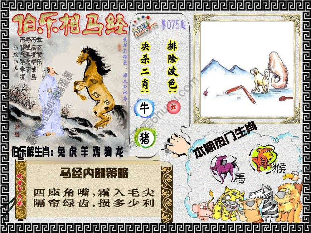 伯乐相马经