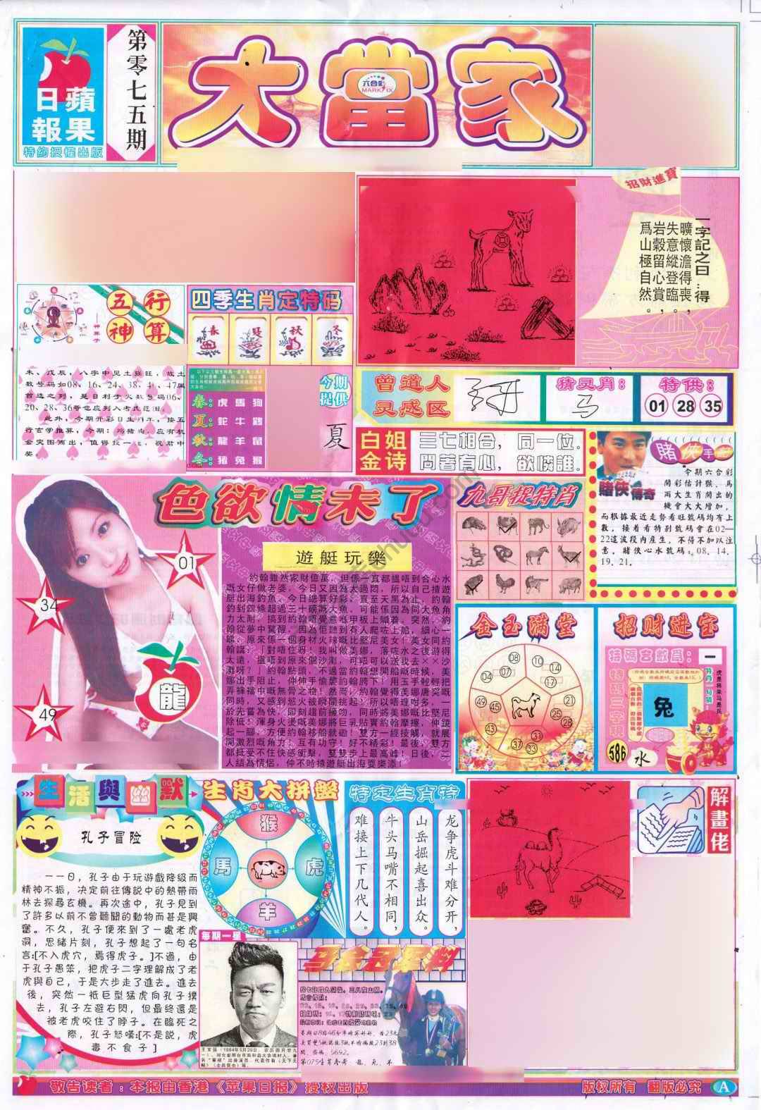 大当家