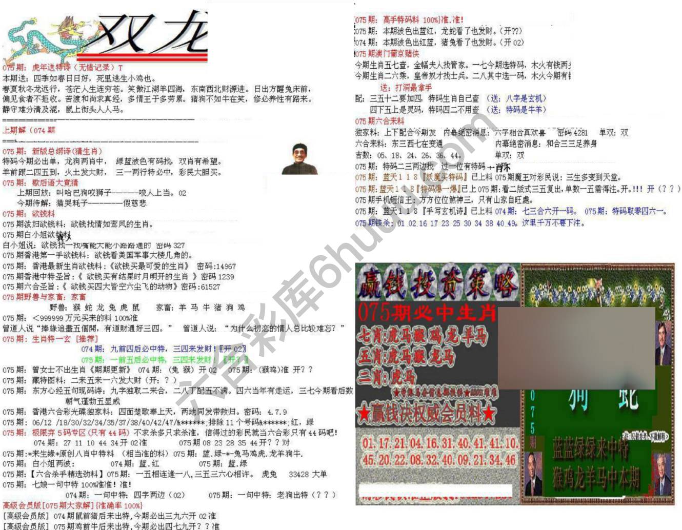 双龙报