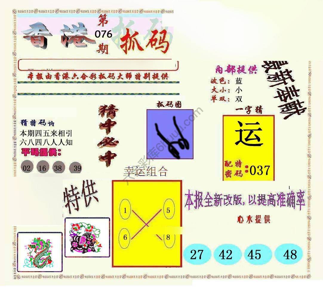 新抓码王