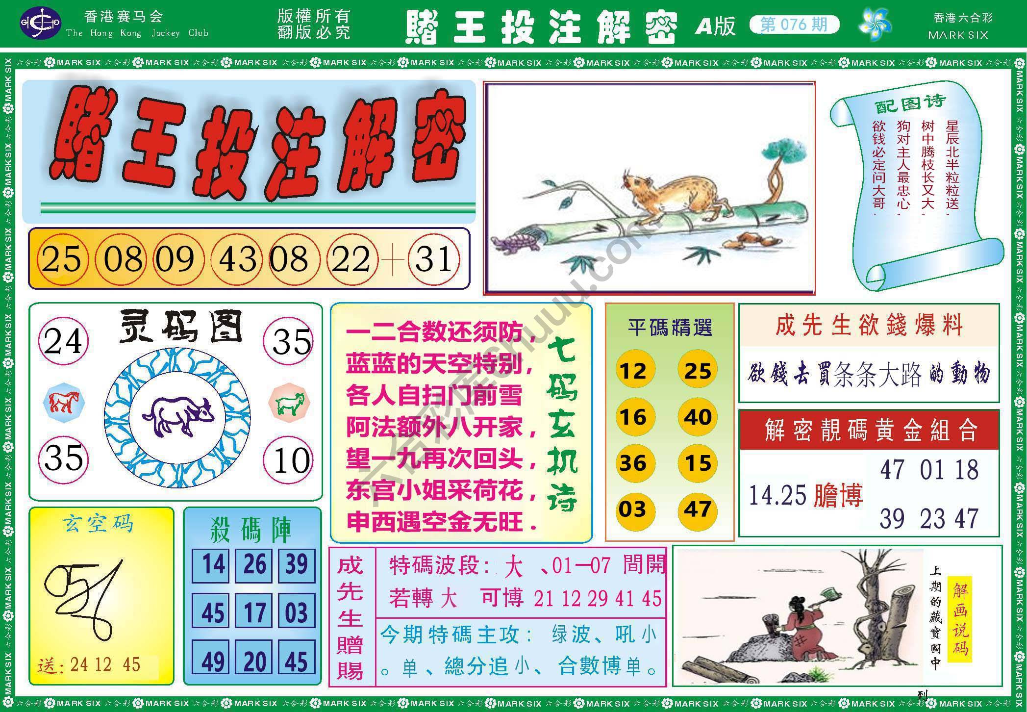 赌王投注解密