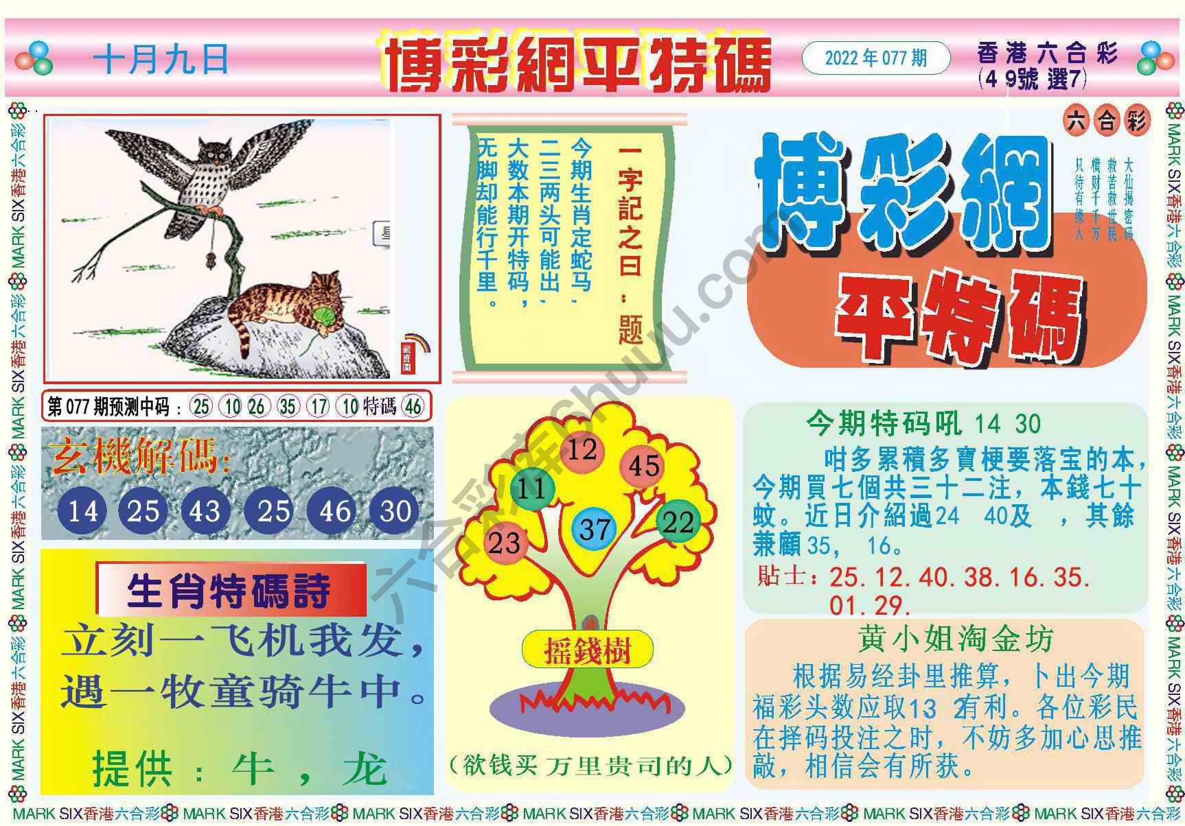 博彩网平特码