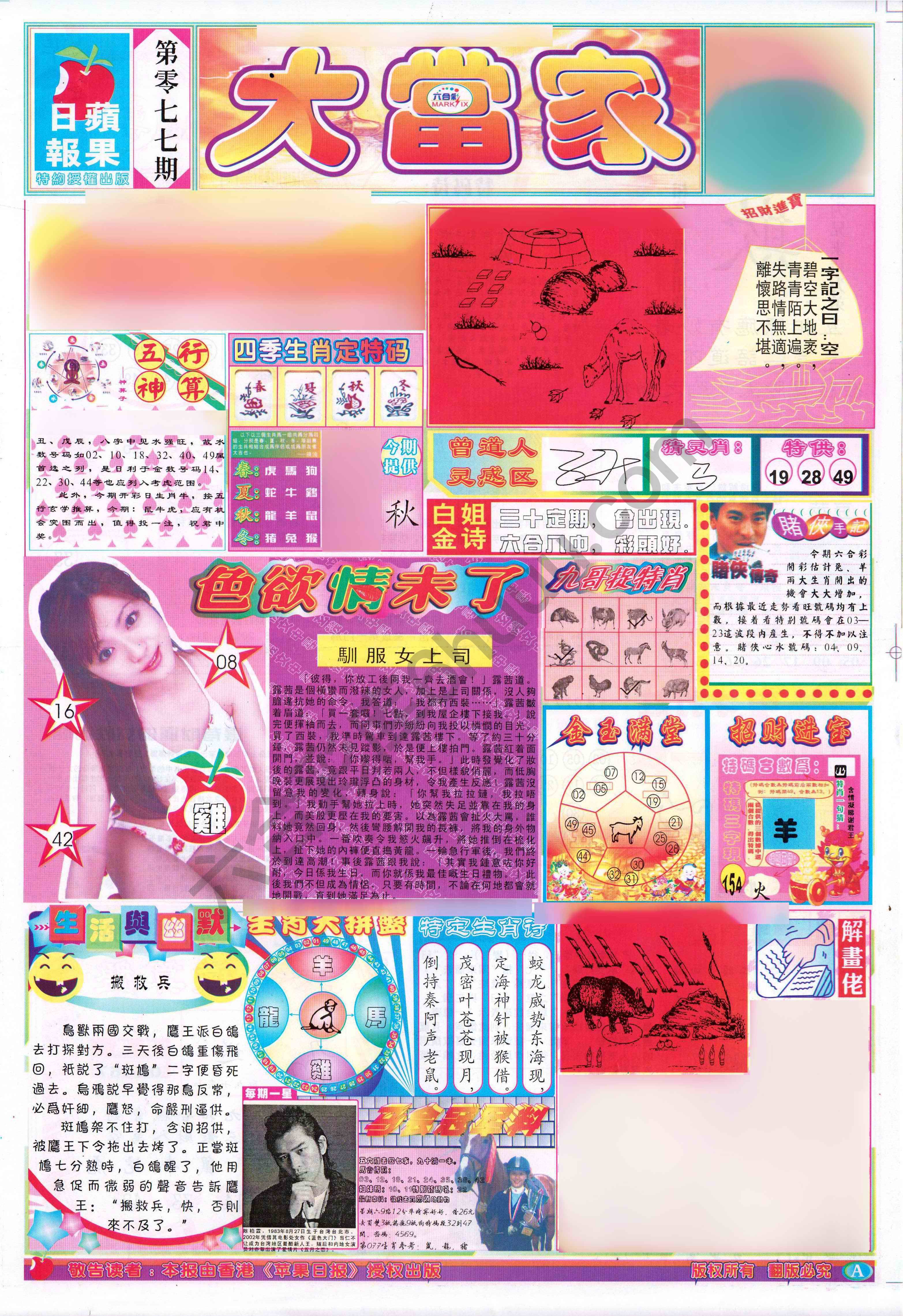 大当家