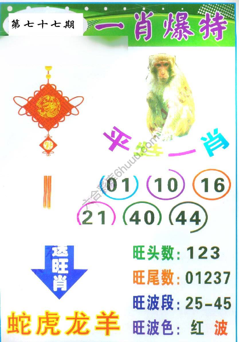 一肖爆特（新版）