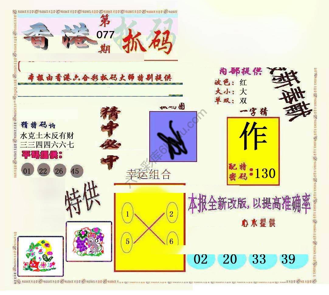 新抓码王