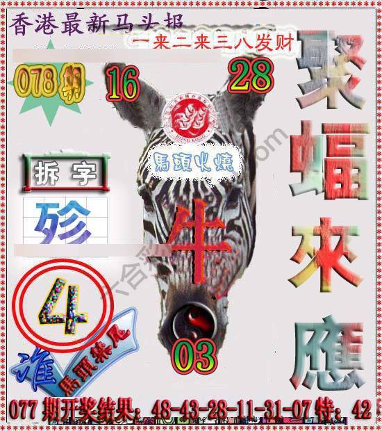 香港马头报
