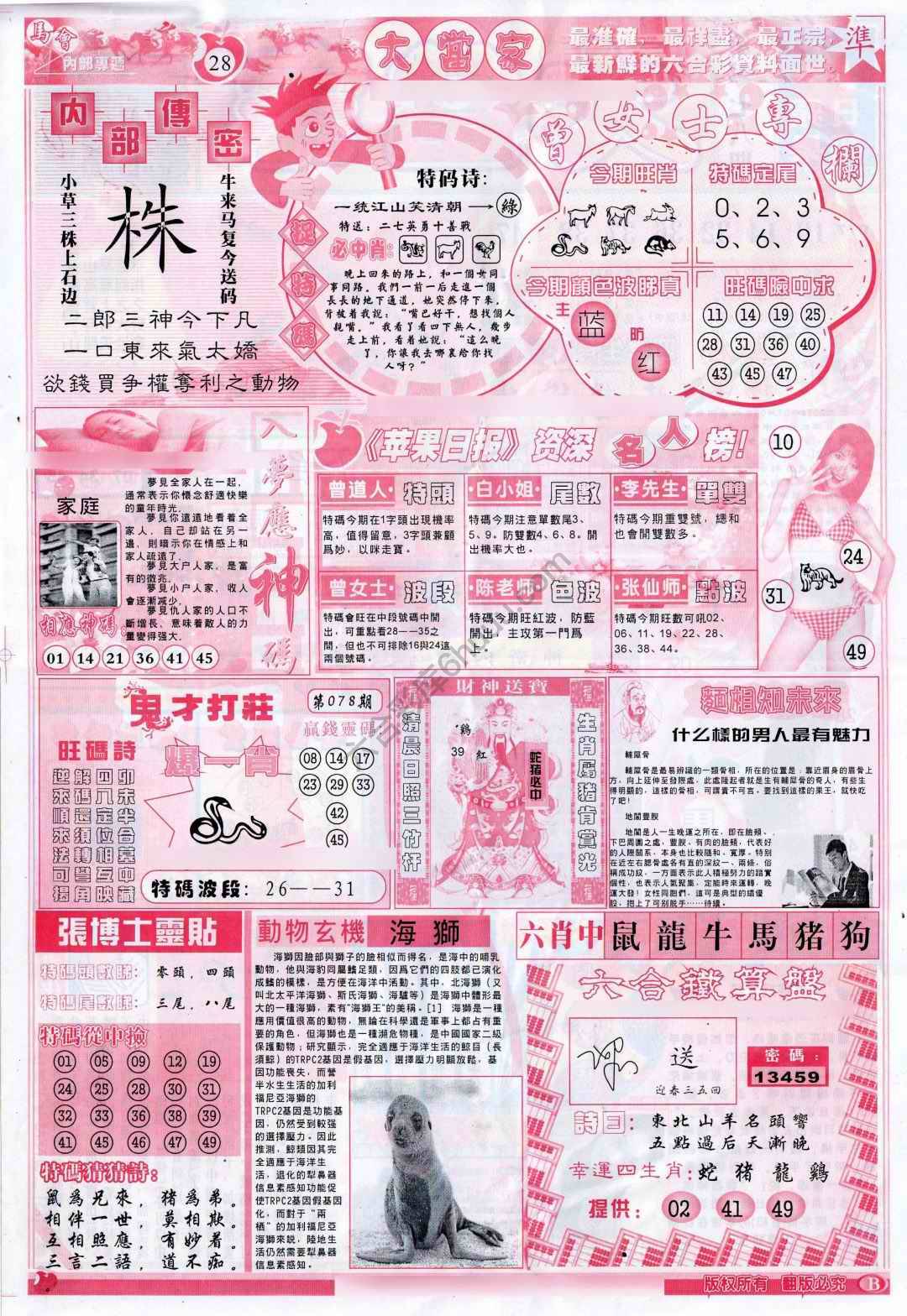 大当家