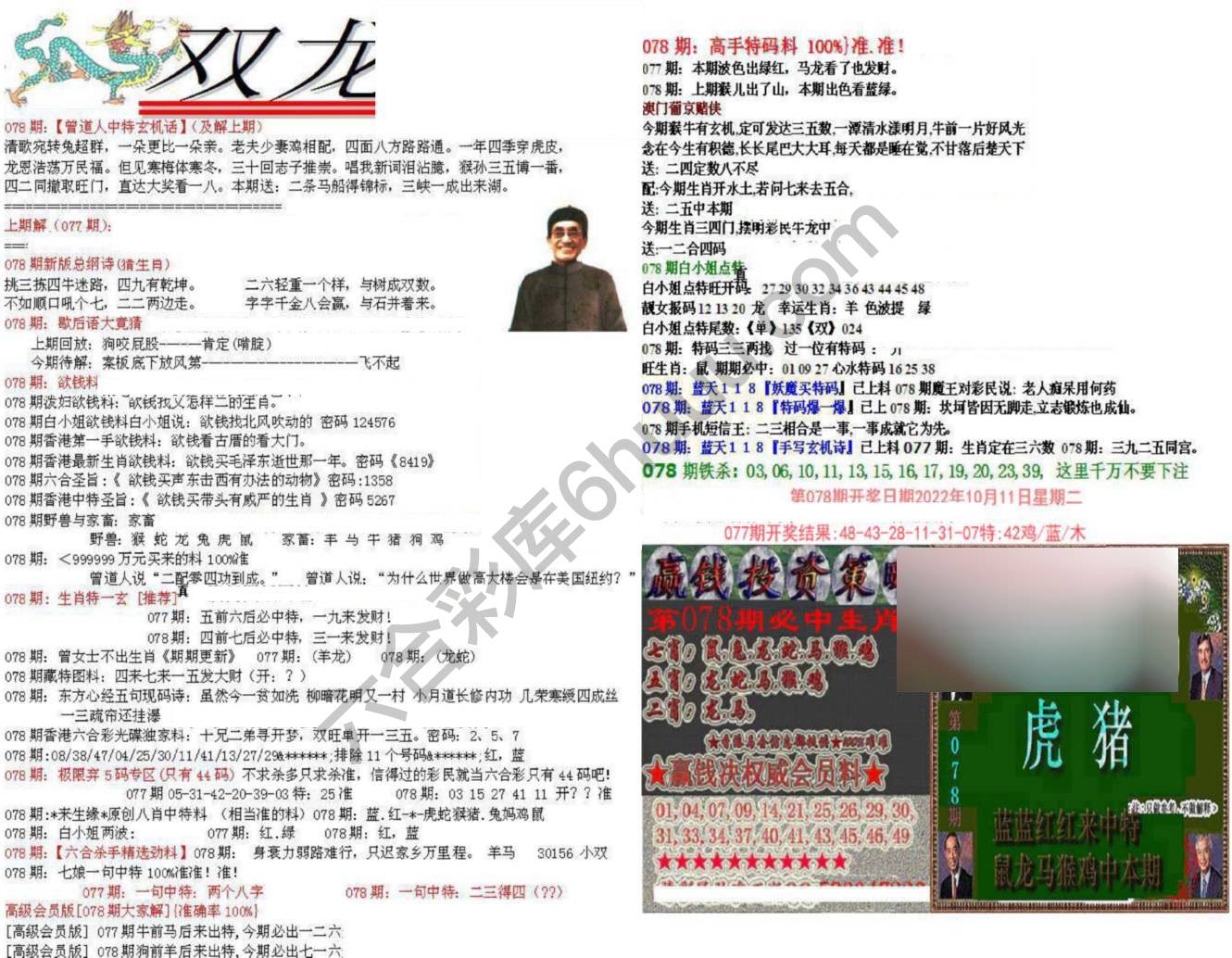双龙报
