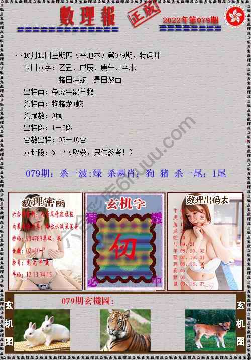 数理报