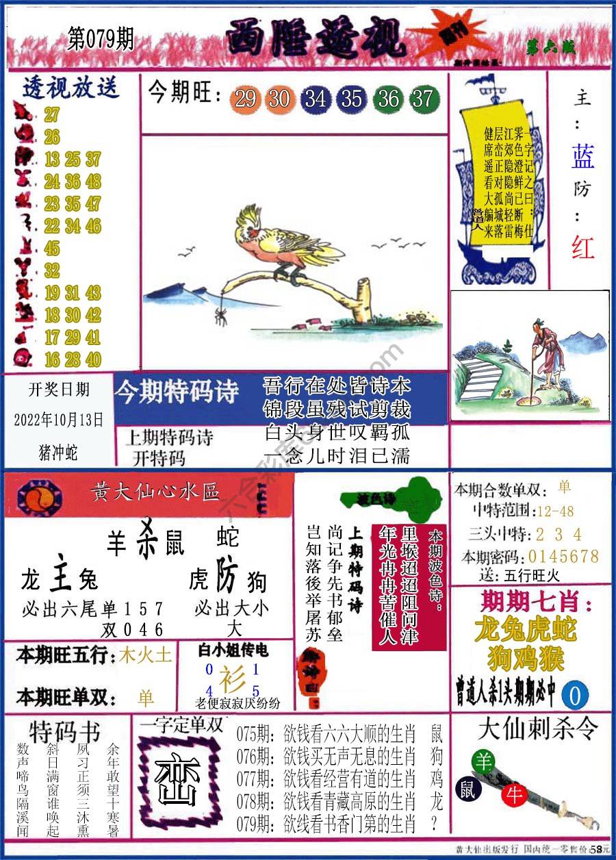 西陲透视（正版）