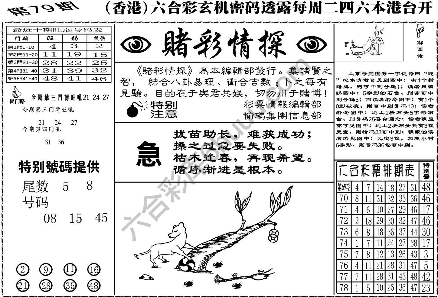 赌彩情探