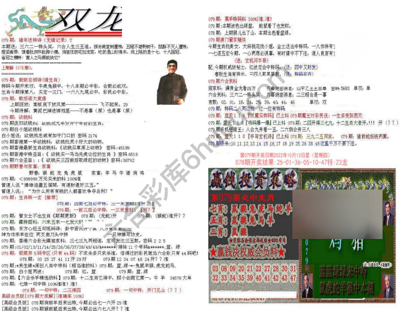 双龙报