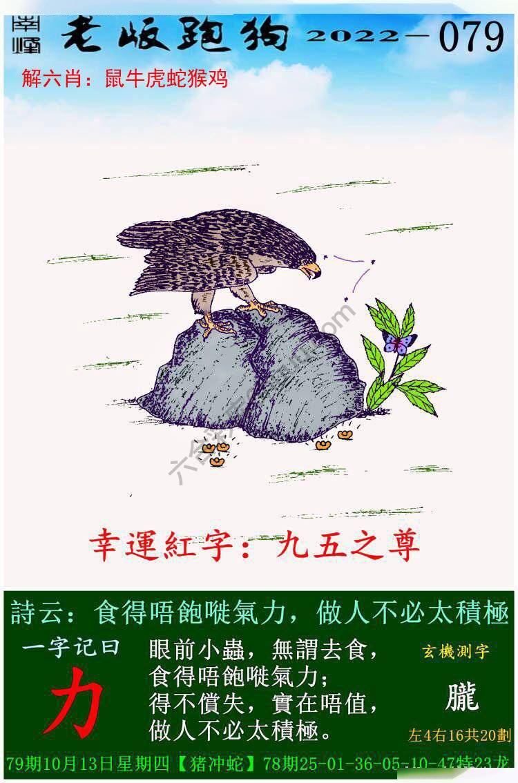 老版跑狗图