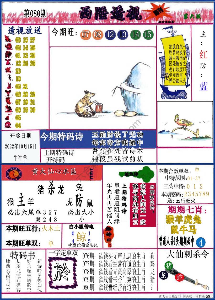 西陲透视（正版）