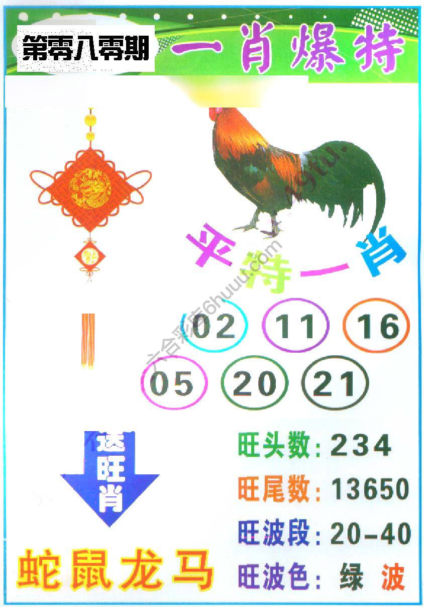 一肖爆特（新版）