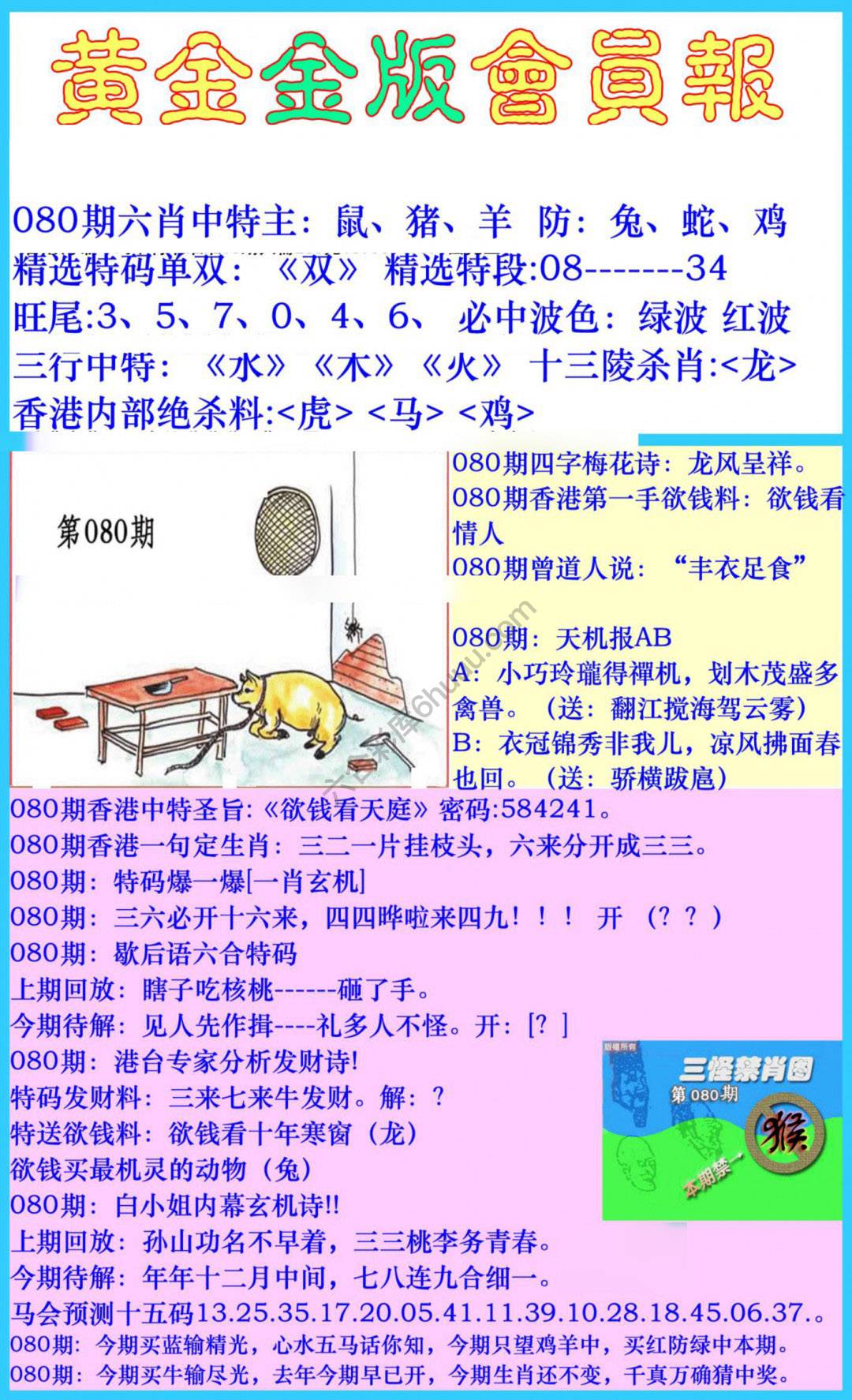 黄金金版会员报