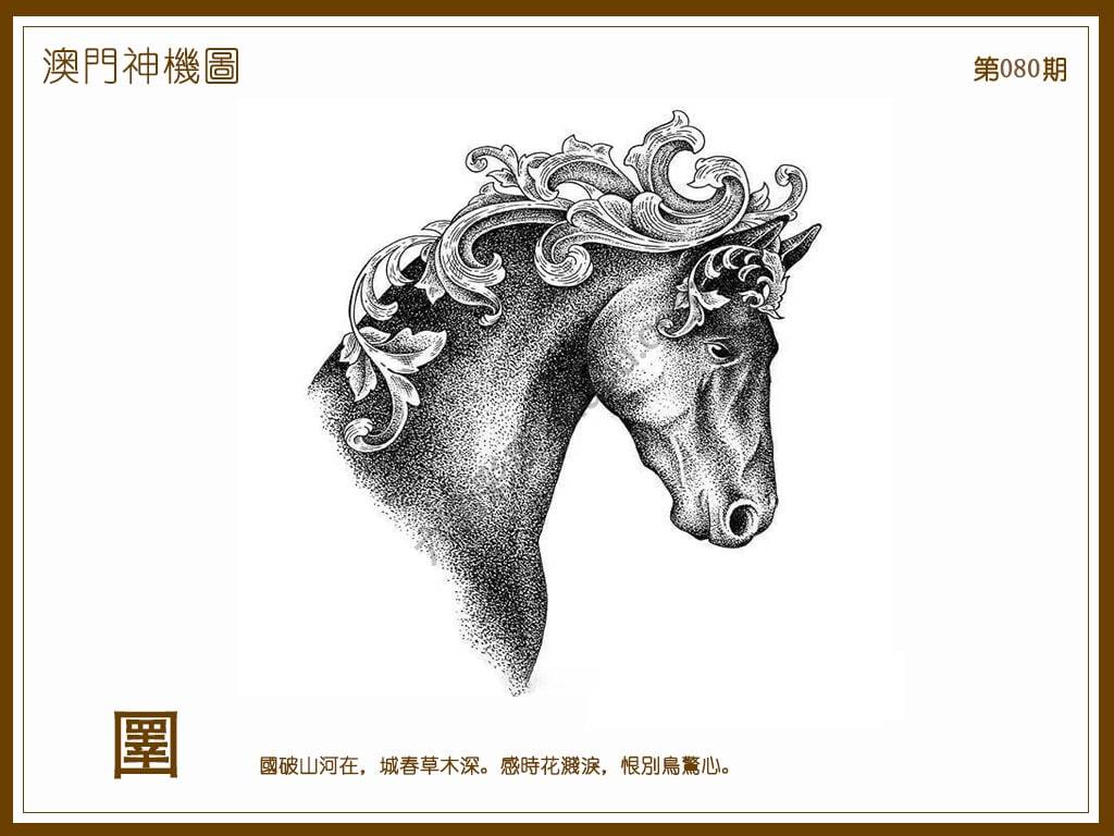 澳门神机图
