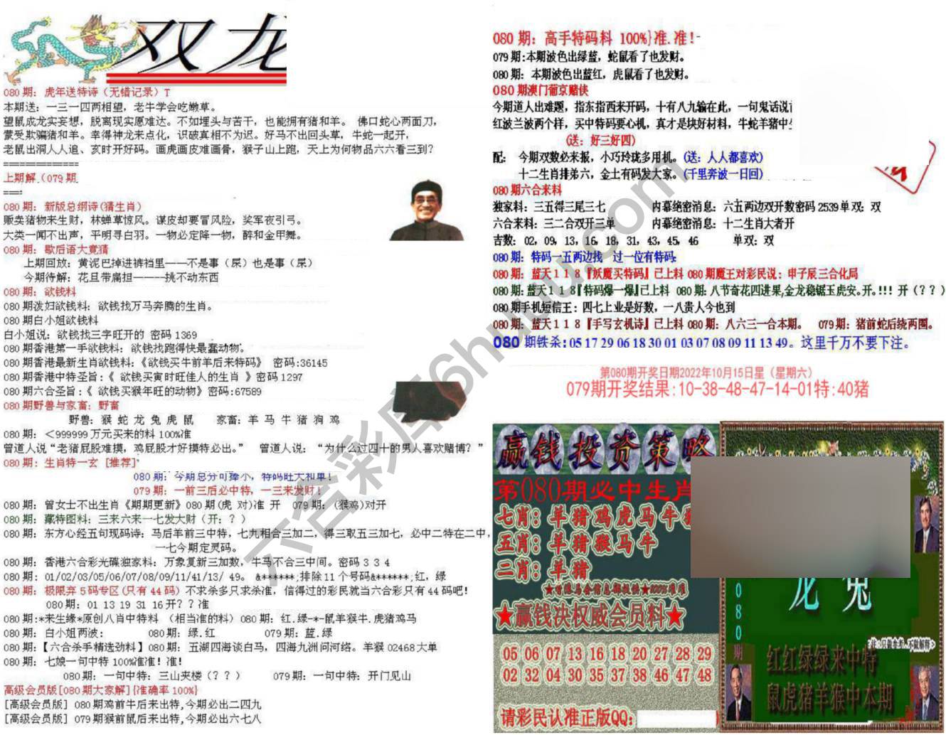 双龙报