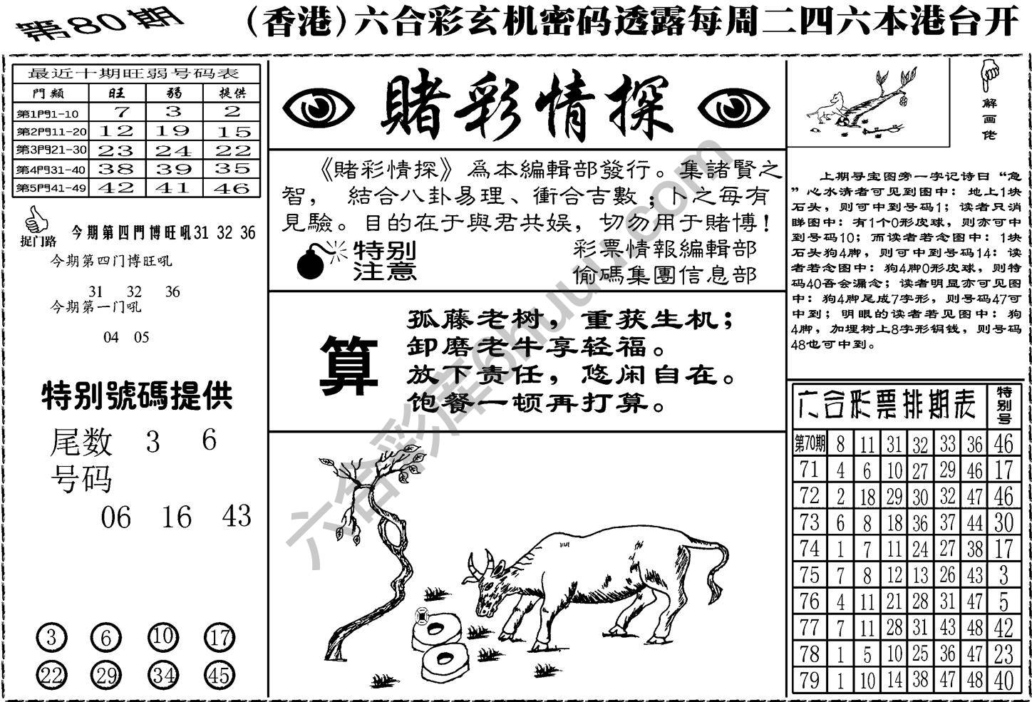 赌彩情探