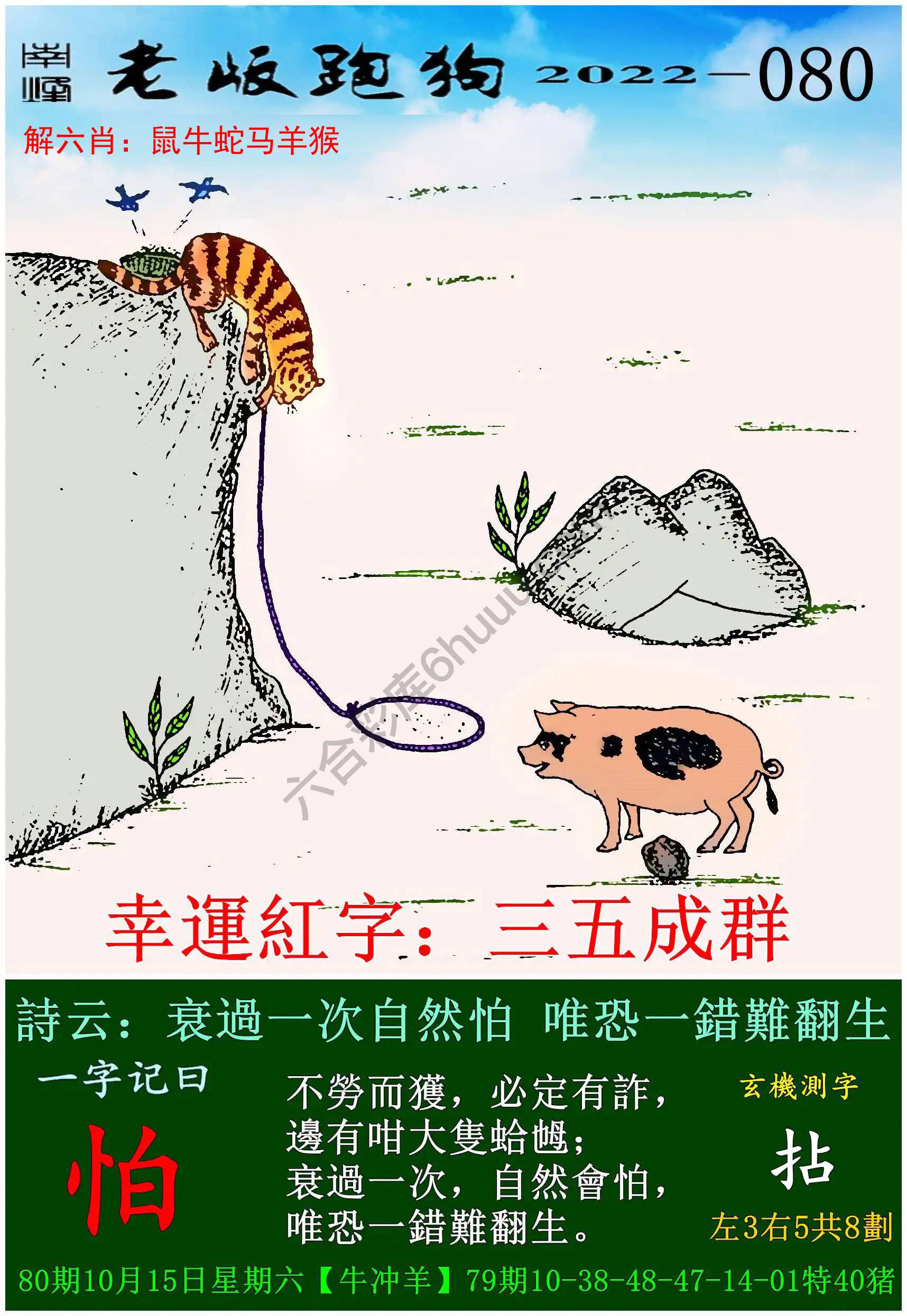 老版跑狗图