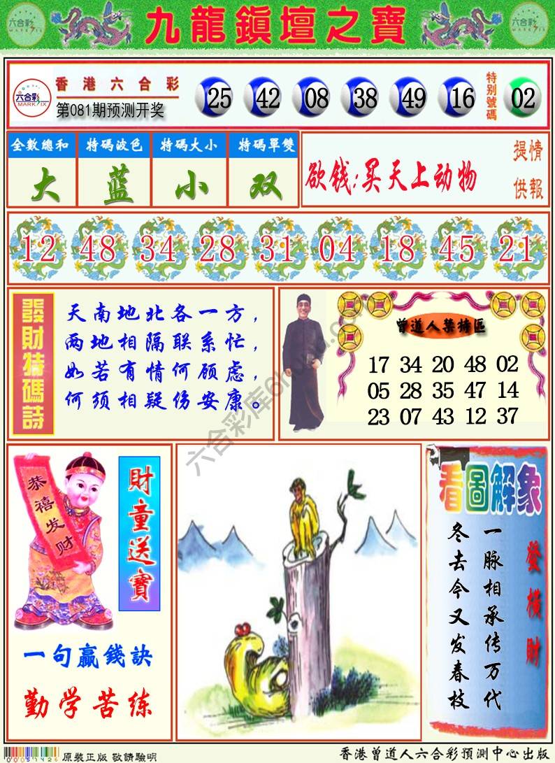 九龙挂牌解特码