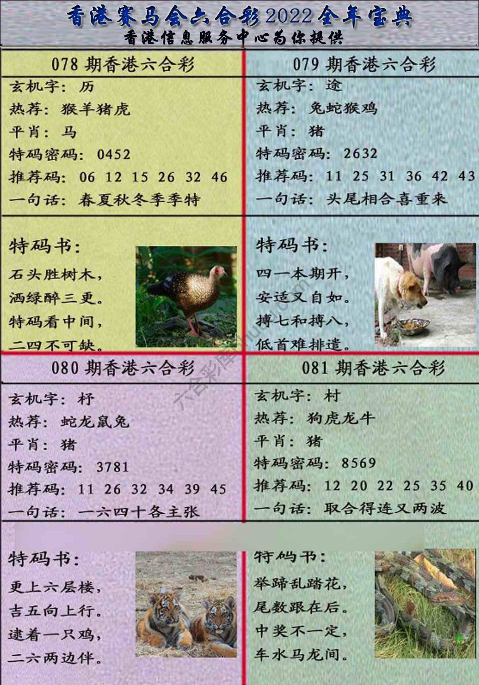 宝典报