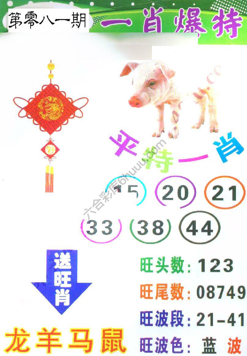 一肖爆特（新版）