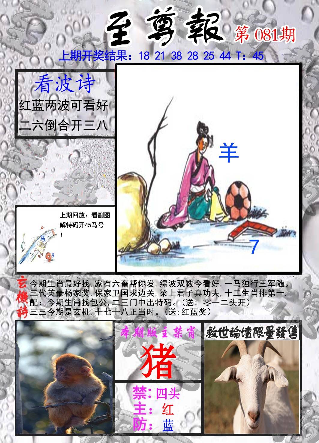 至尊报