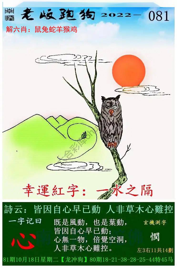 老版跑狗图