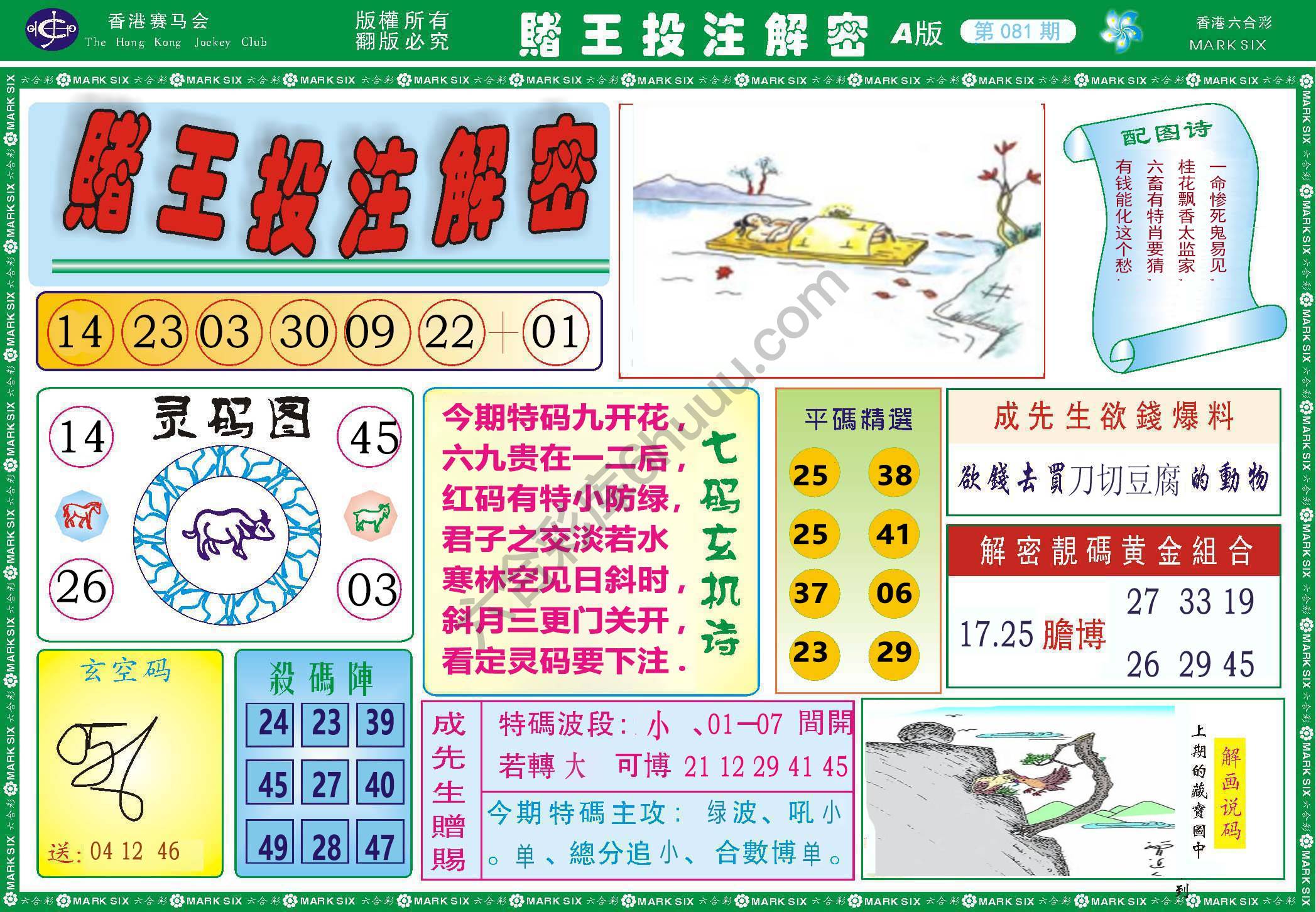 赌王投注解密