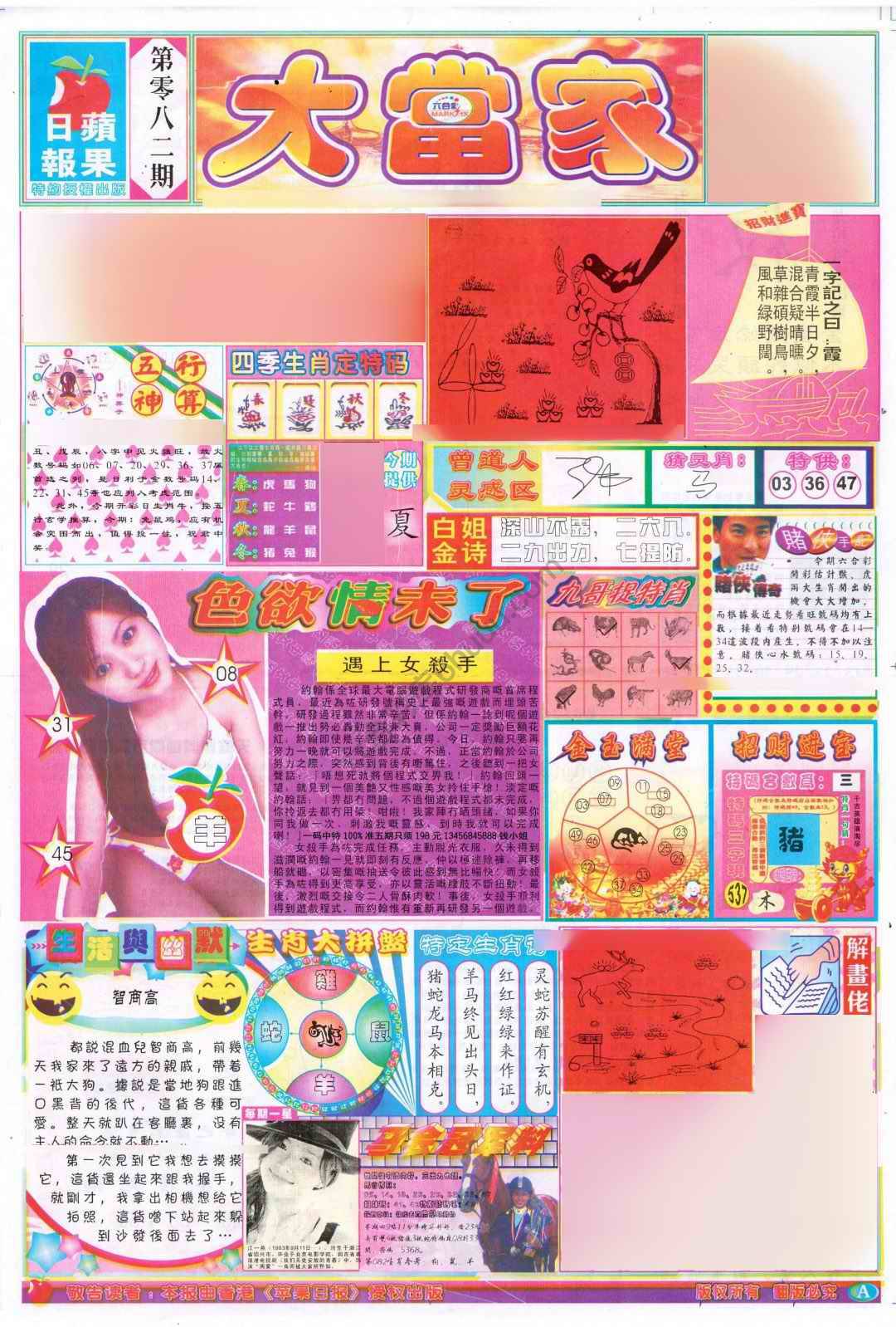 大当家