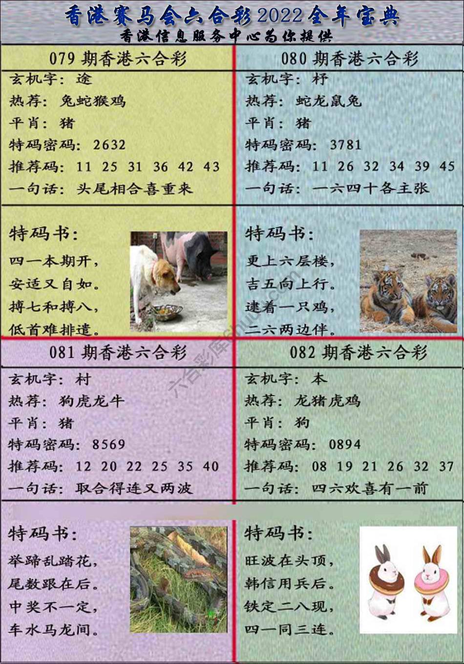 宝典报