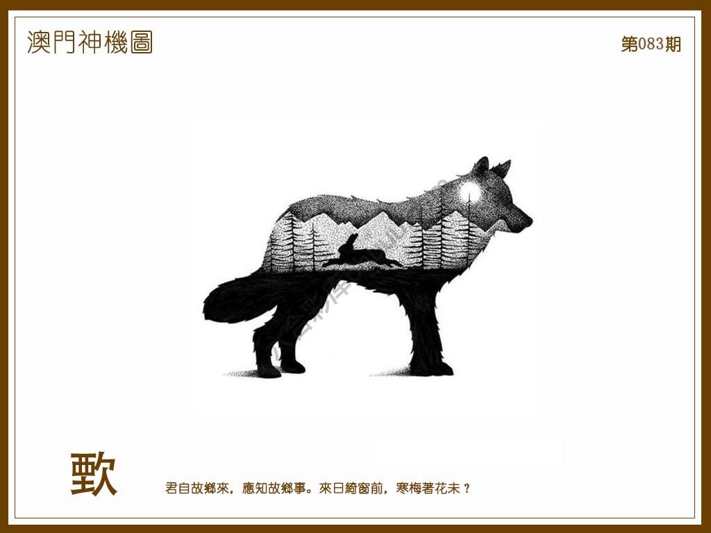 澳门神机图