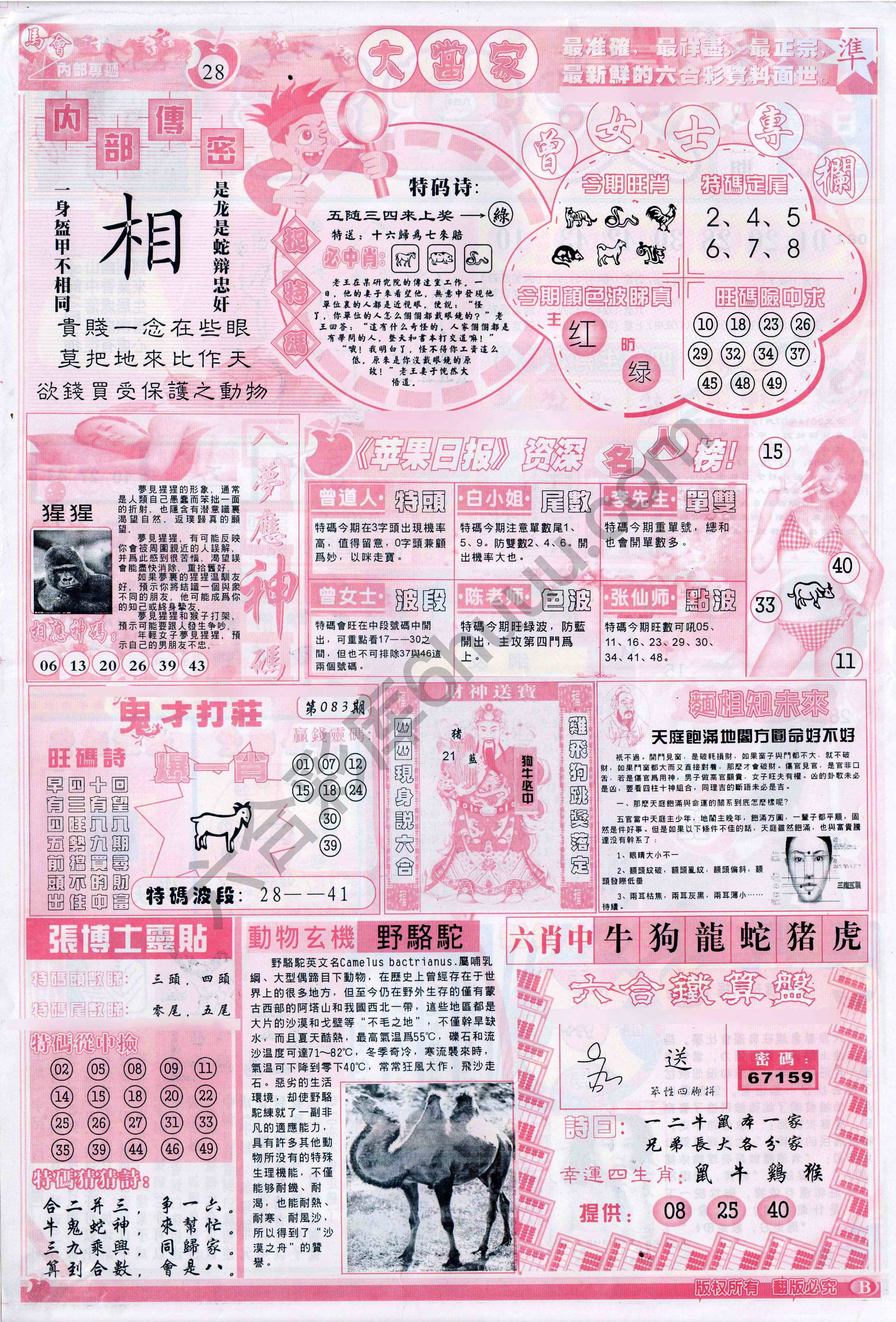 大当家