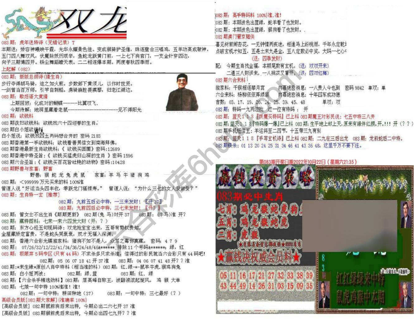双龙报