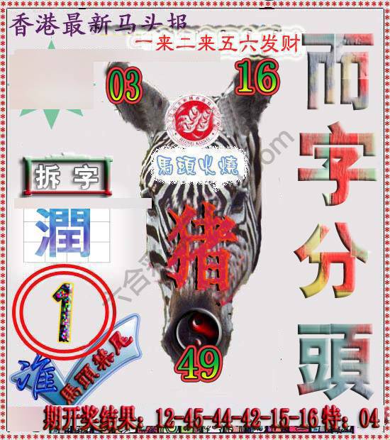 香港马头报