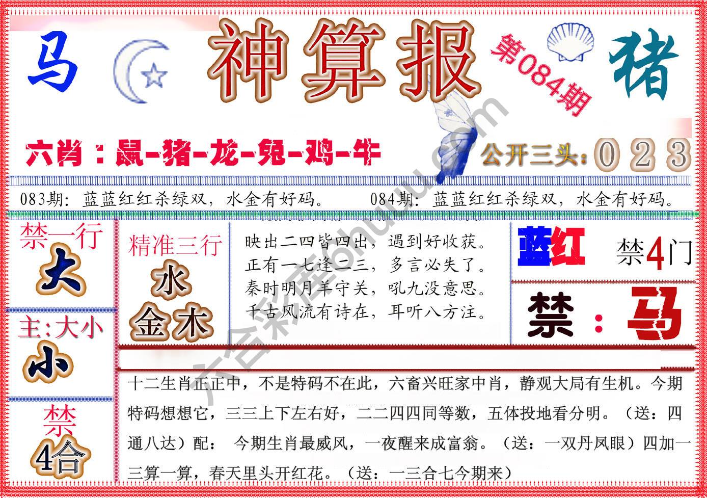 神算报新版