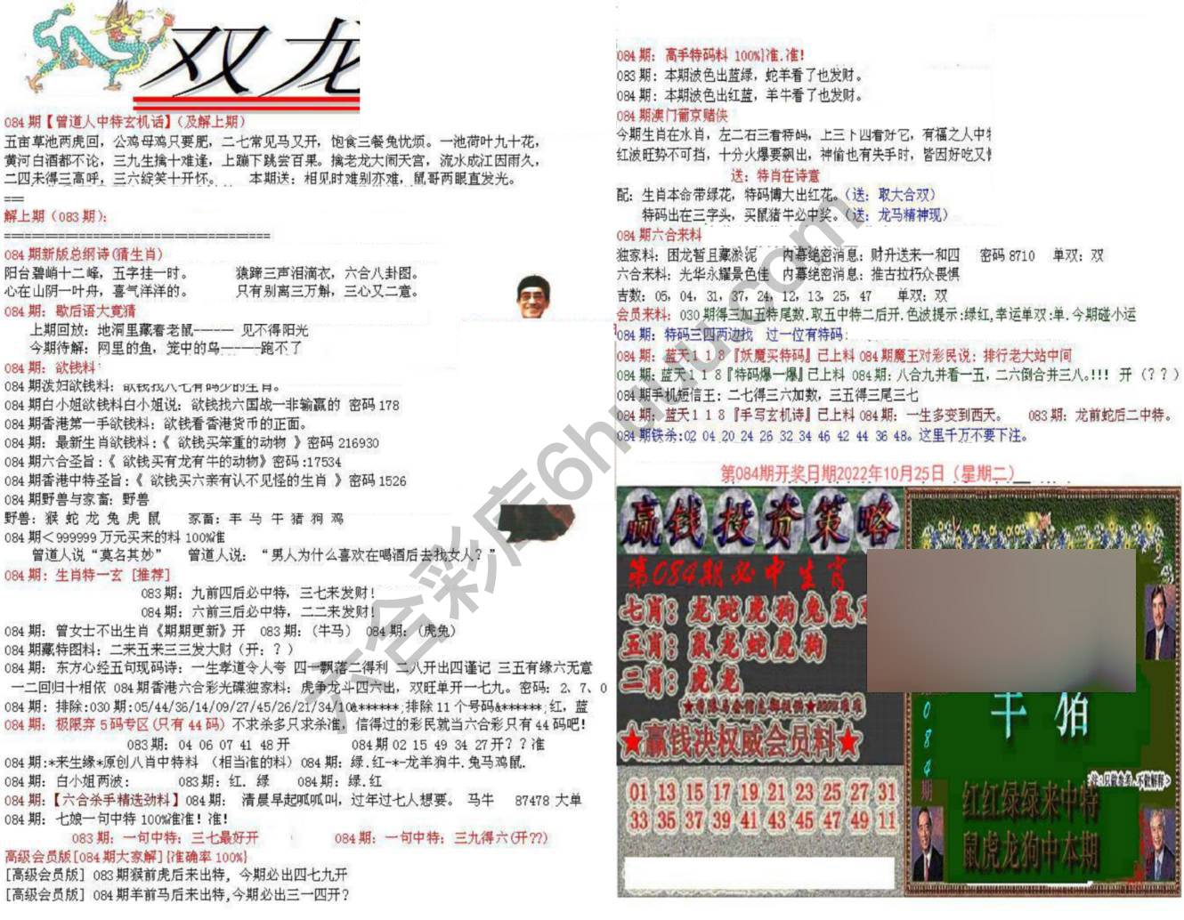 双龙报