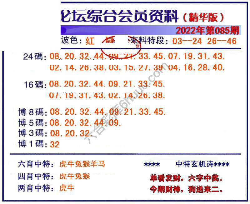 综合会员资料