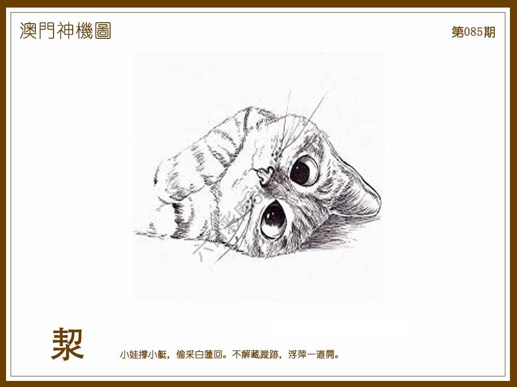 澳门神机图