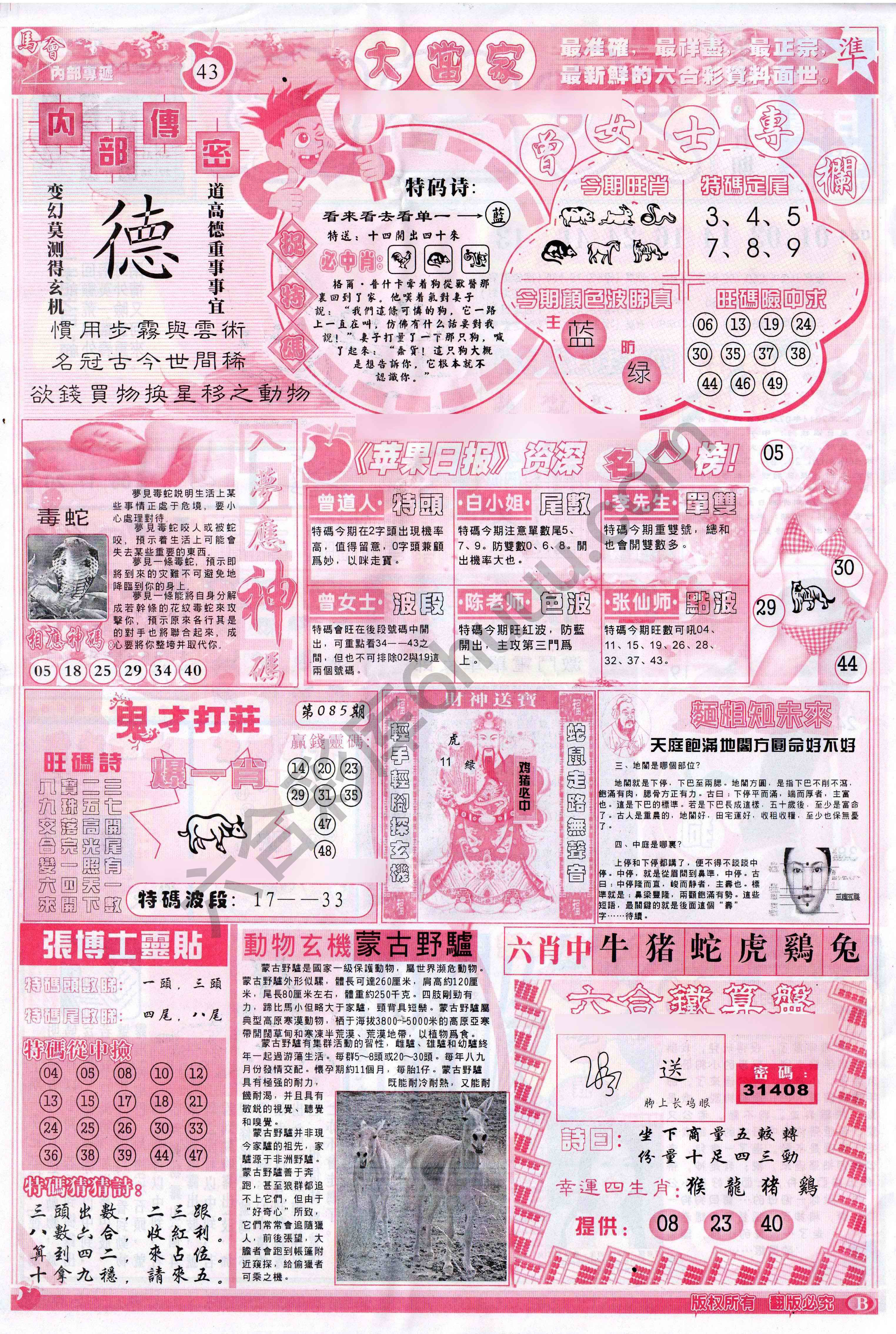 大当家